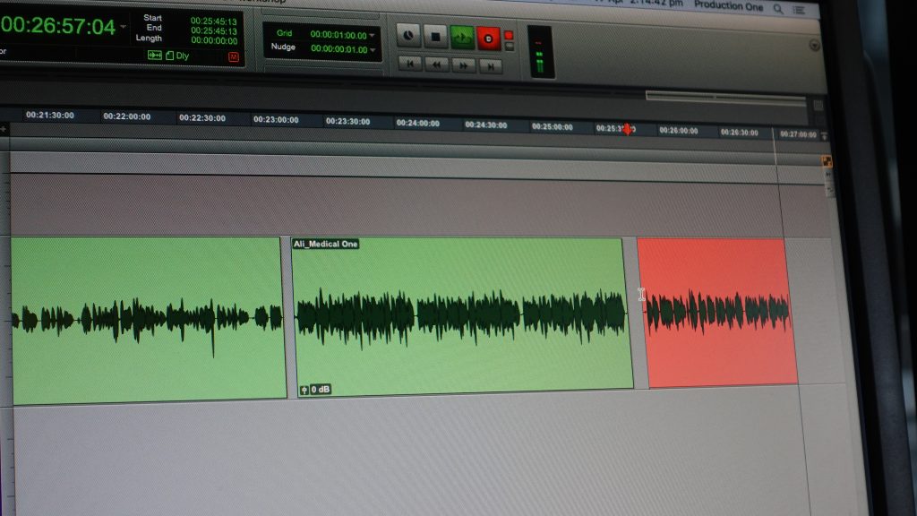 Zoom Session August 31 Recording & Editing Voice Over Voices of